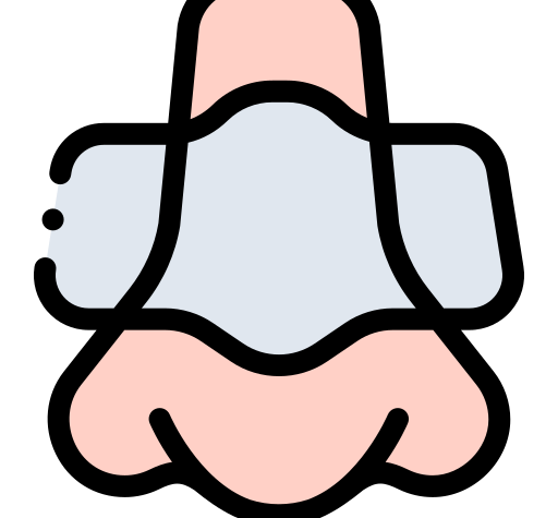 029512475477-nasal-strip-icon-16777180403933.png