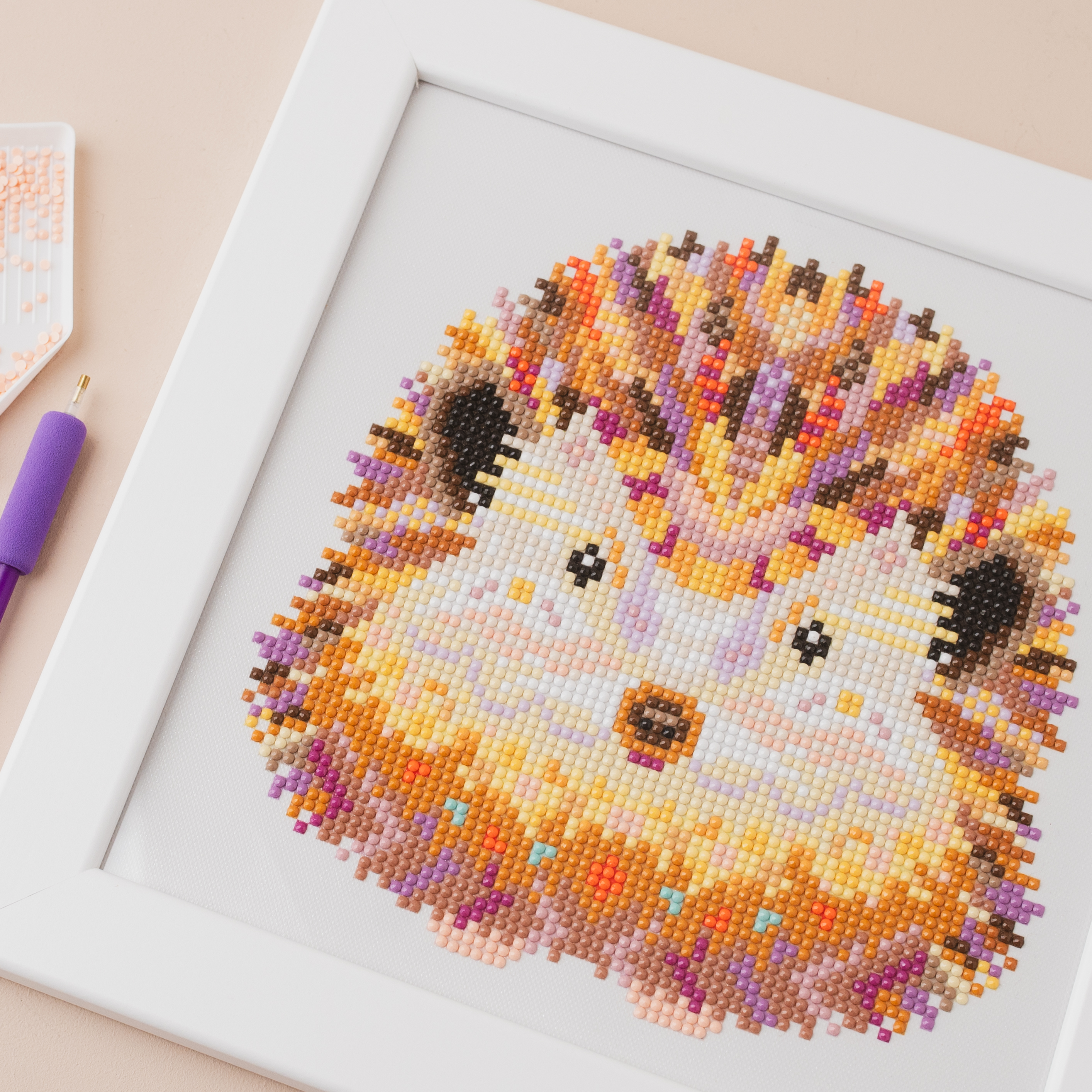 1187-melocadesigns-diamond-art-hedgehog-17586427191353.jpg