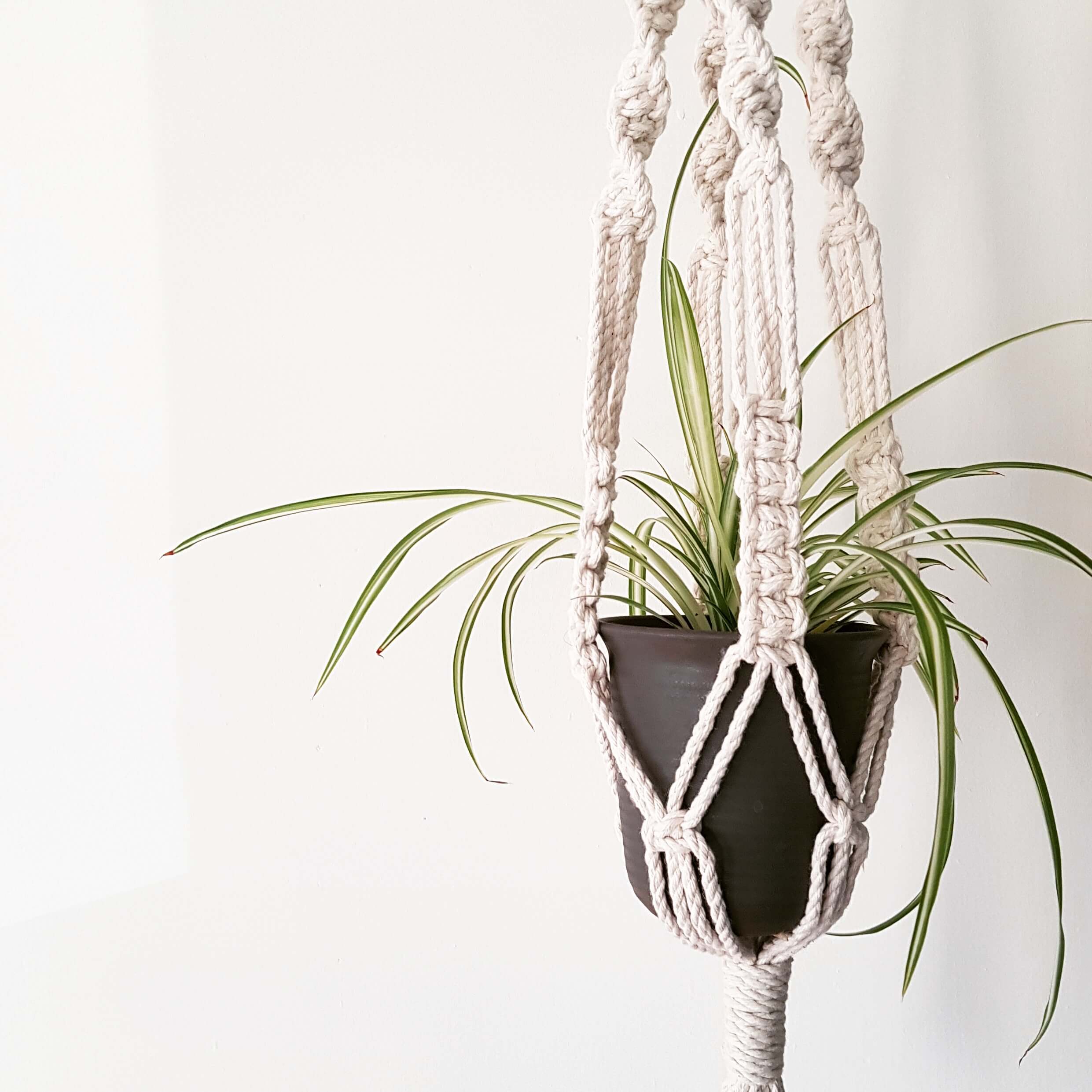 1552-diy-macrame-plant-hanger-kit-17703994500866.jpg