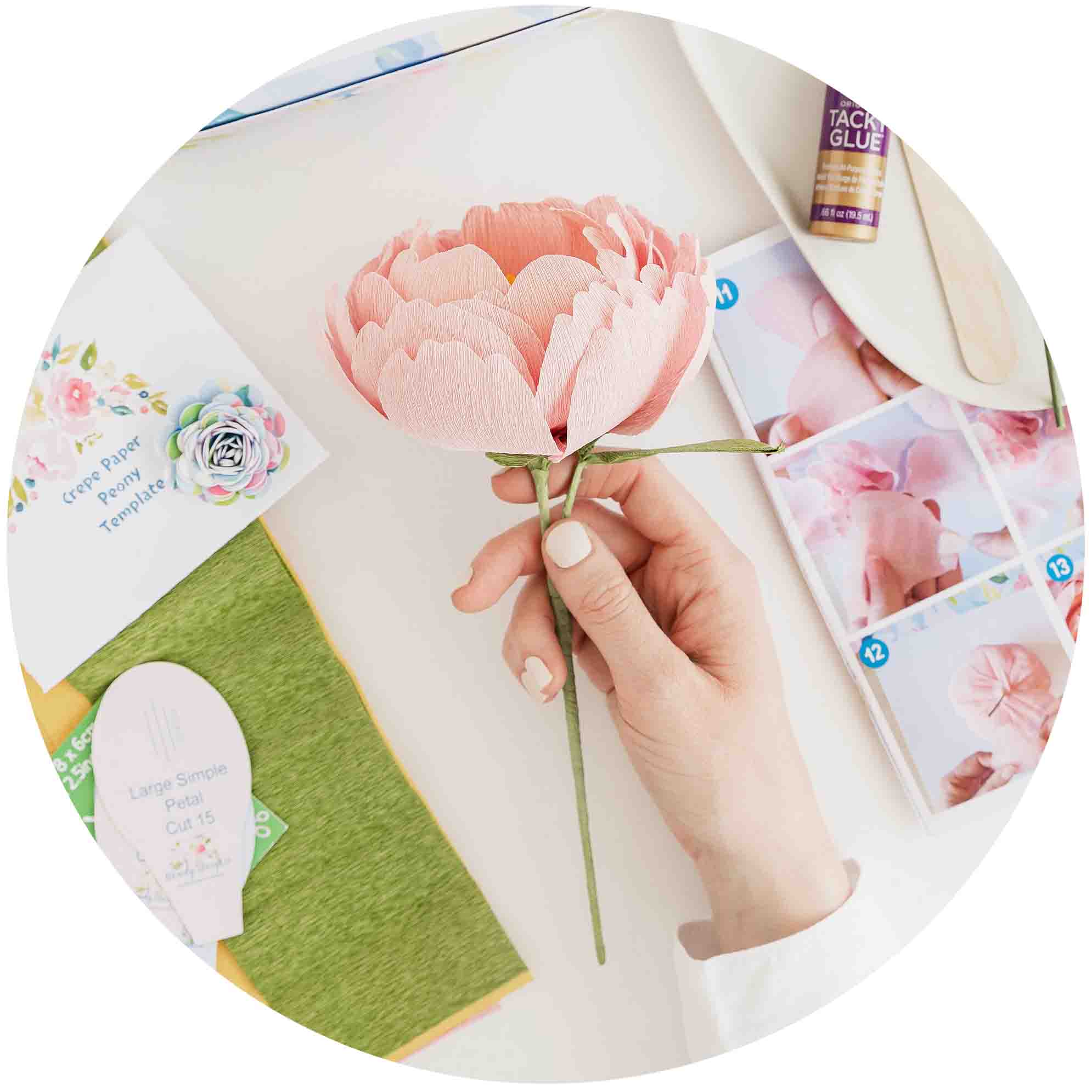 894-cosy-craft-club-crepe-paper-peony-kit-1752073806328.jpg
