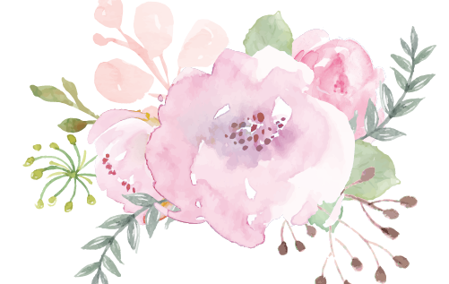 041501317601-327-flowers-transparent-16836434503689.png