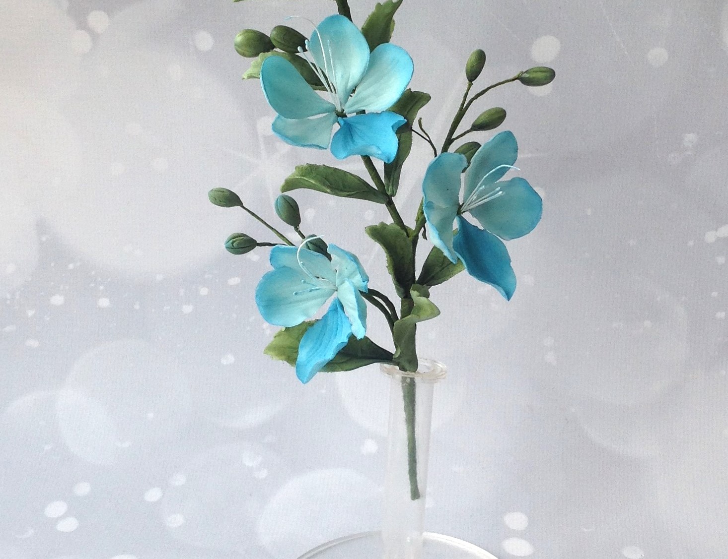 0418146611271622-blue-glory-bower-sprayjpg-17580290836596.jpg