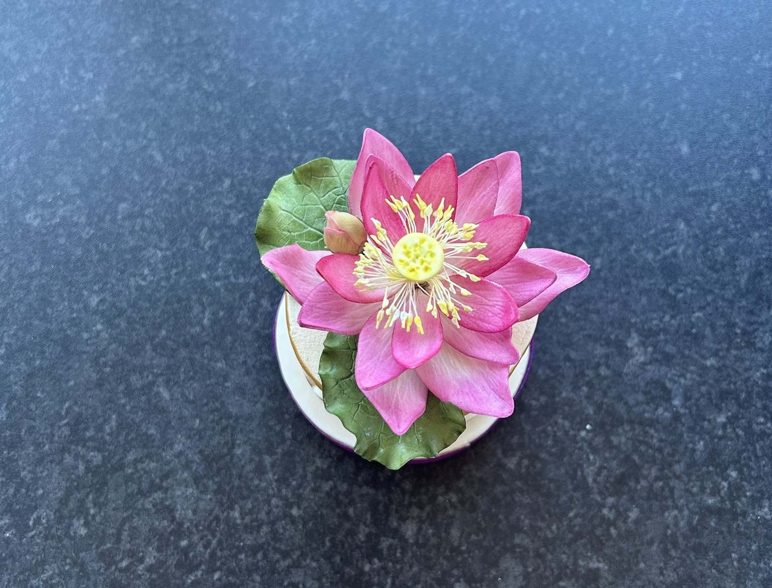0438153611701640-lotus-flower-17771170819961.jpg