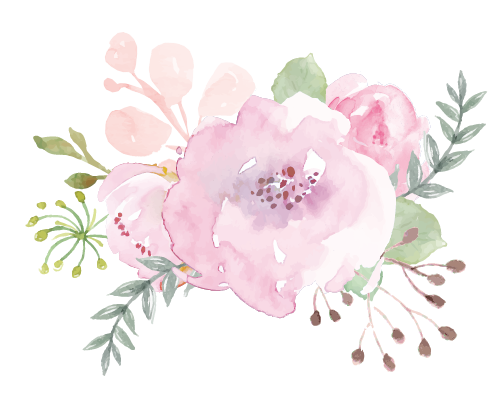 1442-327-flowers-transparent-16836434503689.png