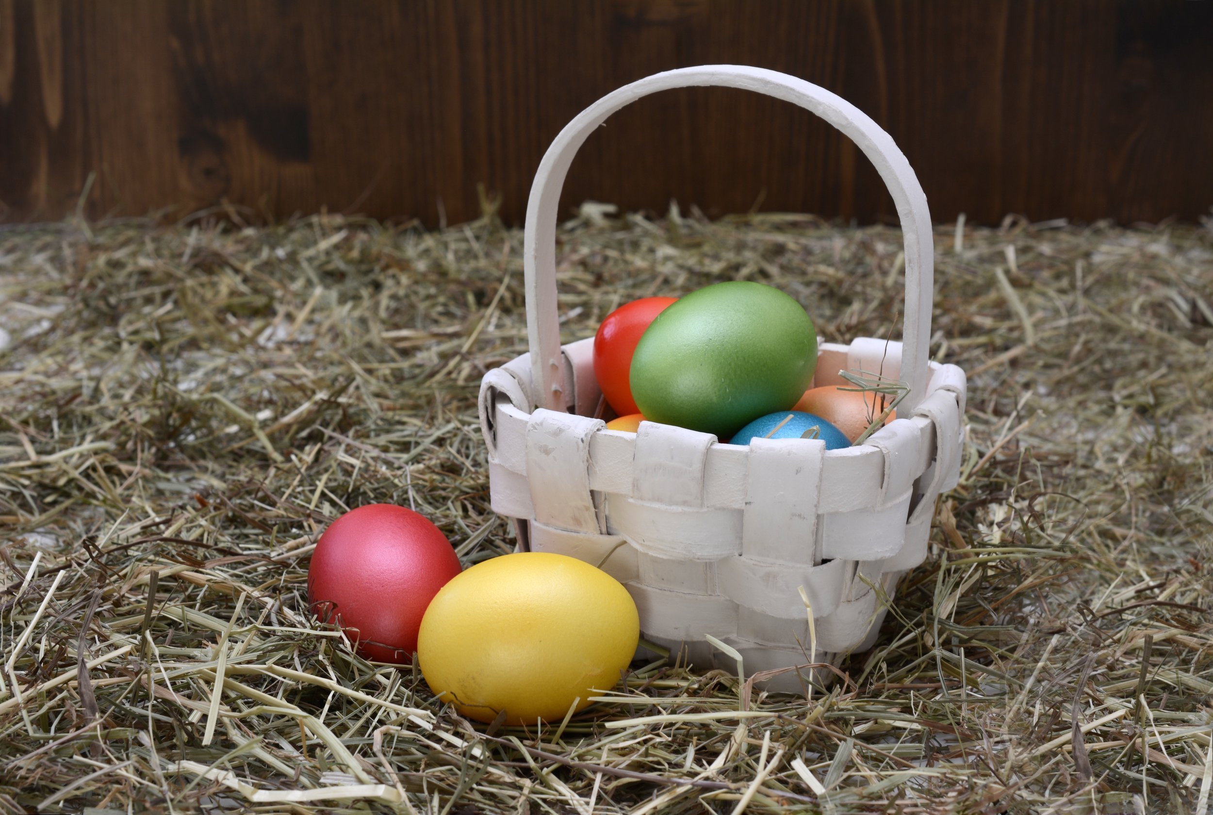 Happy Easter!