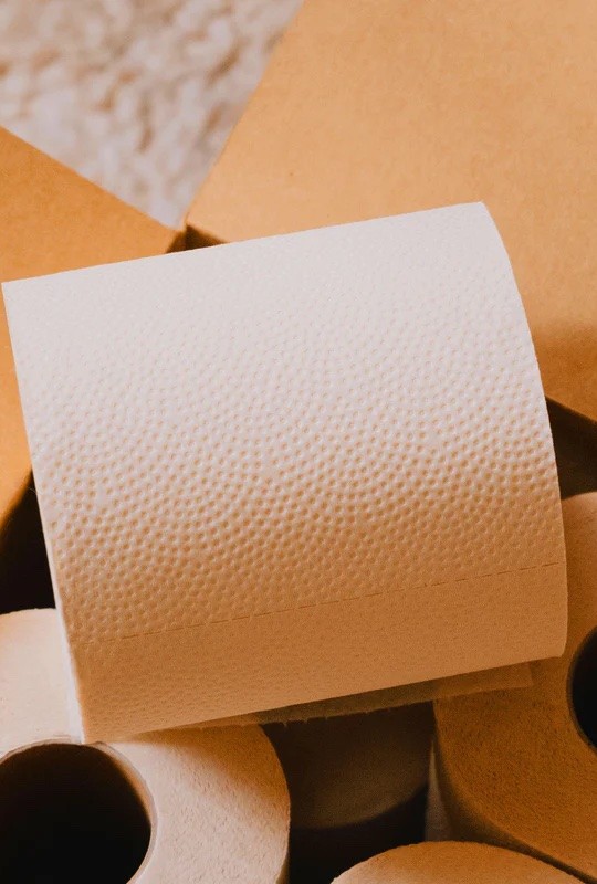 toilet paper 1280540800197-img0369-2jpg-17490950448574.jpg