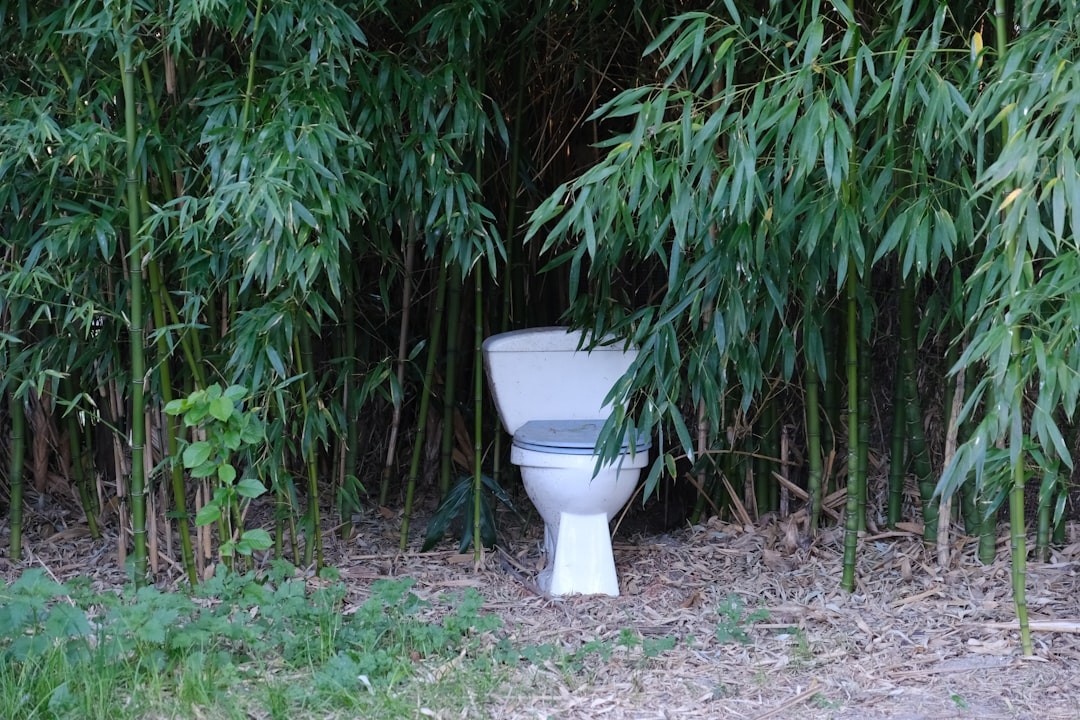 Bamboo Toilet Paper: The Upgrade Your Bathroom (and the Planet) Deserves