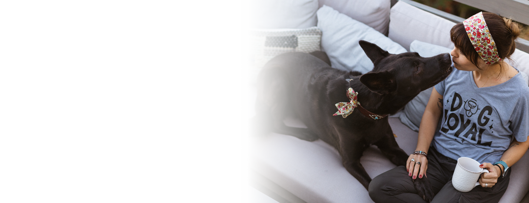 r107-dogmomteeheader-16939520040471.png