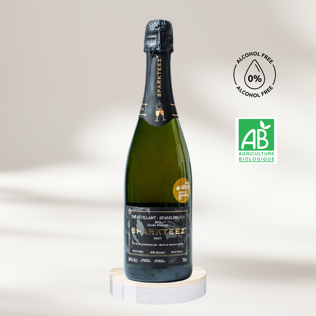 9700-design-sans-titre---2024-12-22t123915875-17348675673212.png