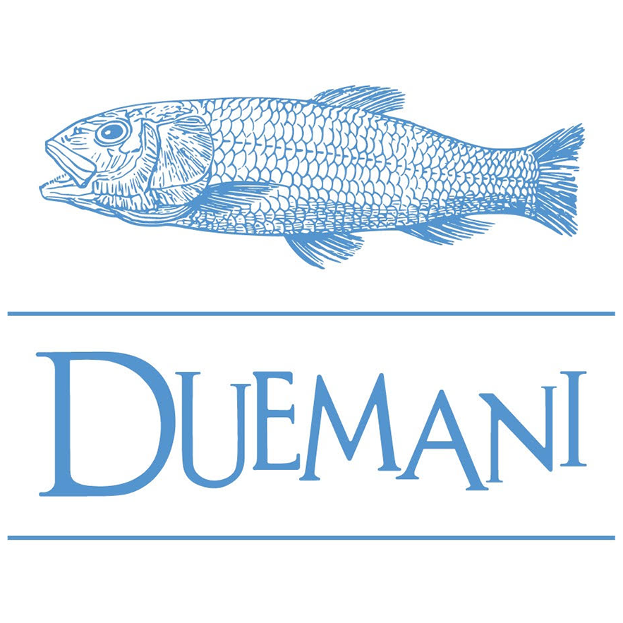 252-duemani-logo-sq-17011919623636.png