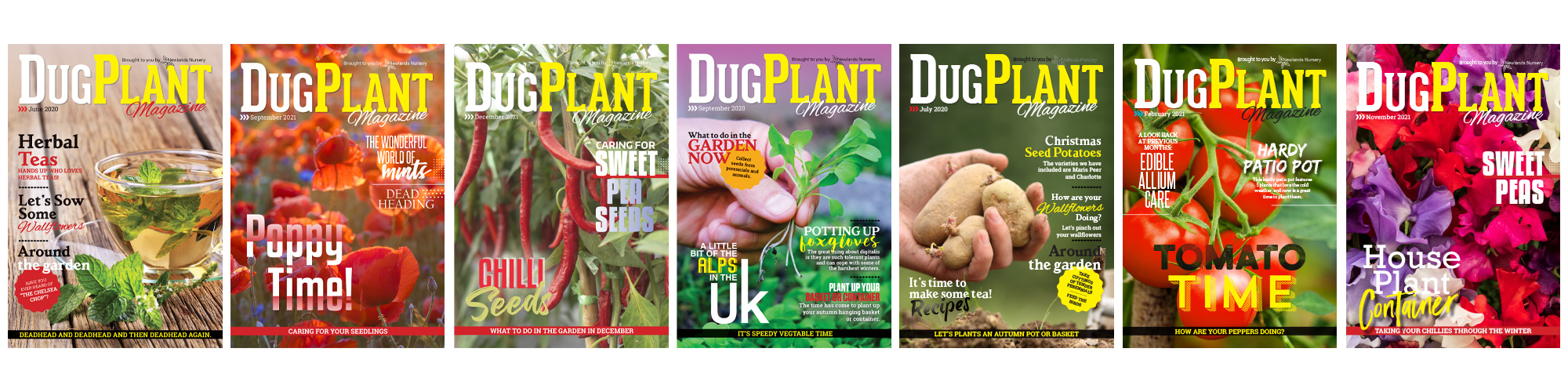 50-dug-magazines-16726997492414.jpg