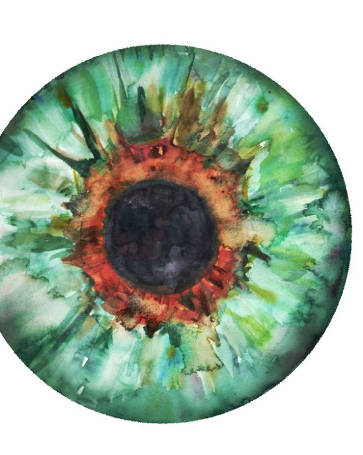 2422-eye1-17478250007205.jpg