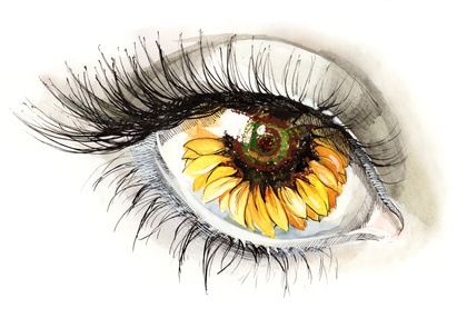 2422-eye14-17478250072582.jpg