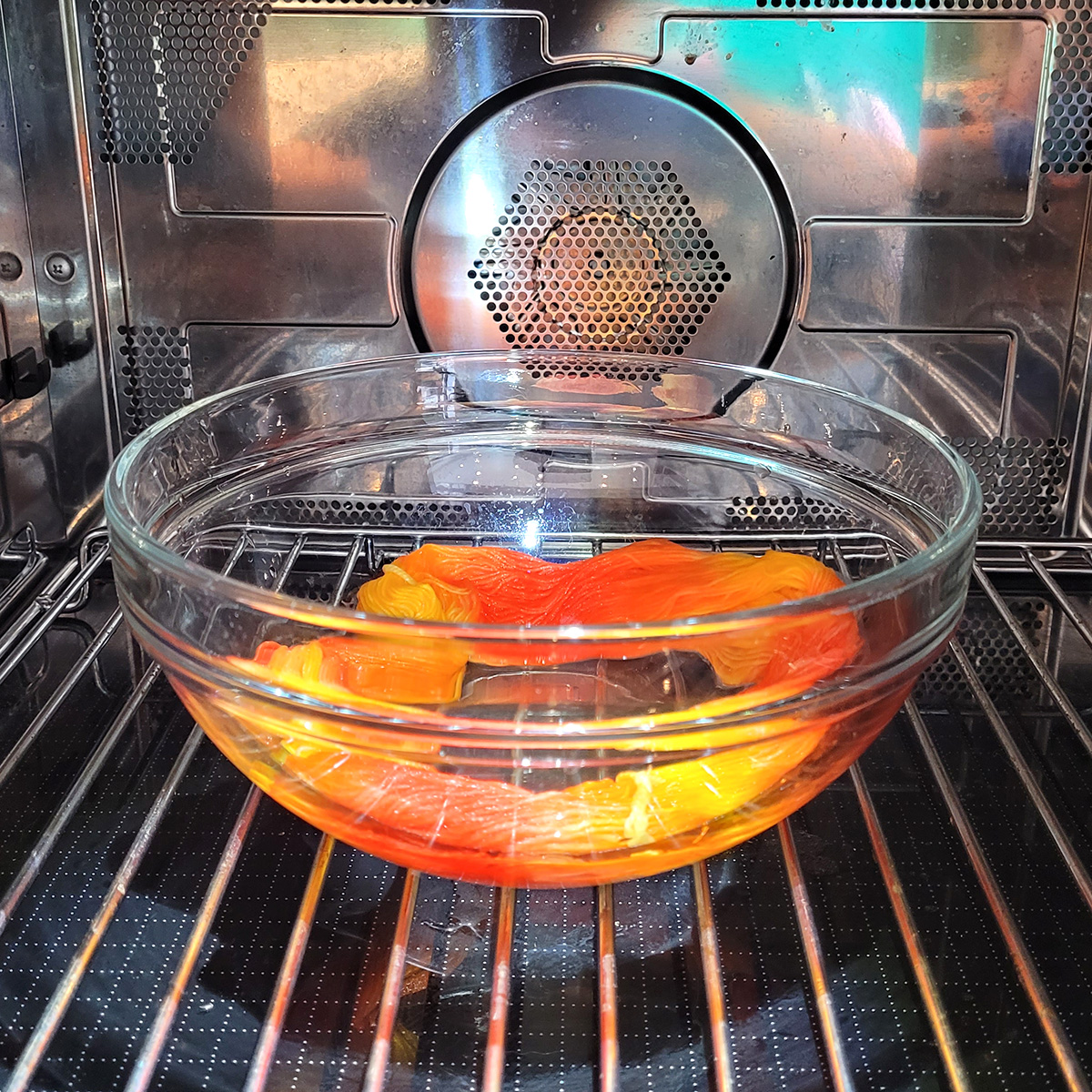 1051-microwave-dyeing---in-the-microwave-17520553018119.jpg