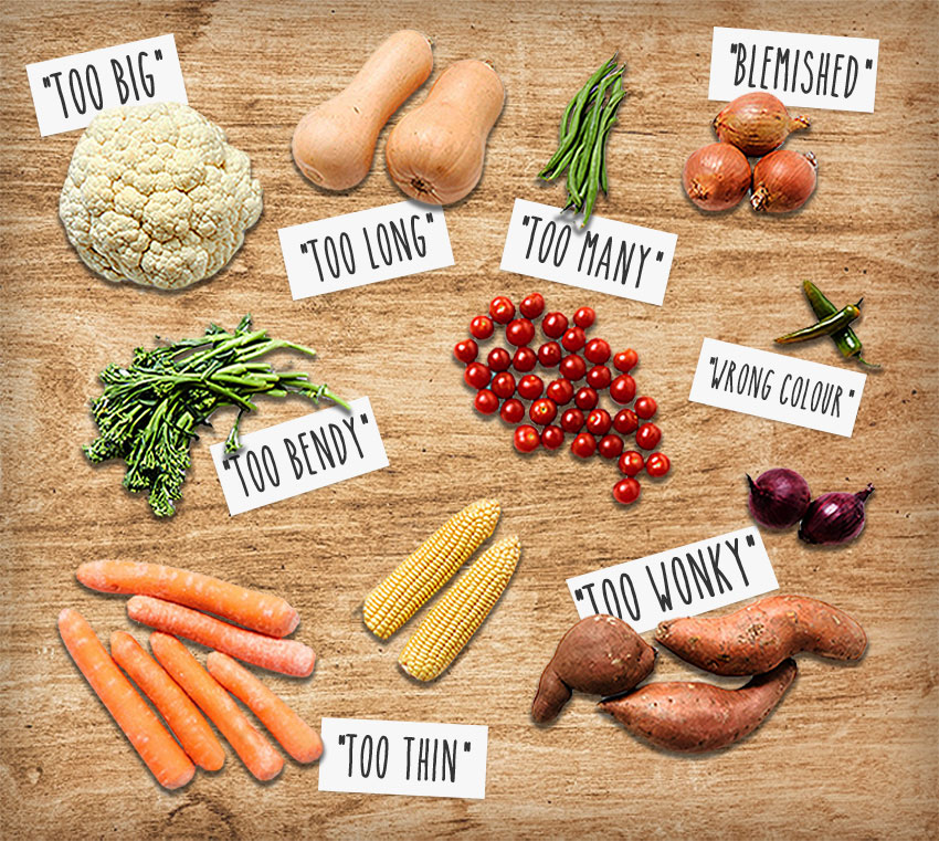 Wonky Wonky and Wonderful