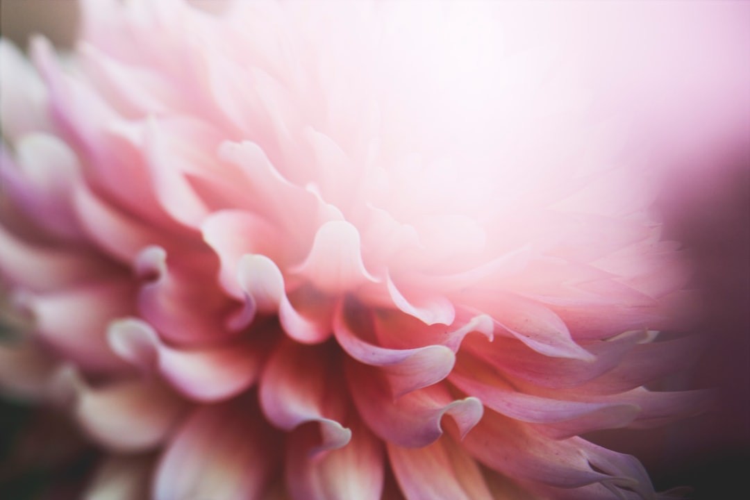 May: Blooming Resilience