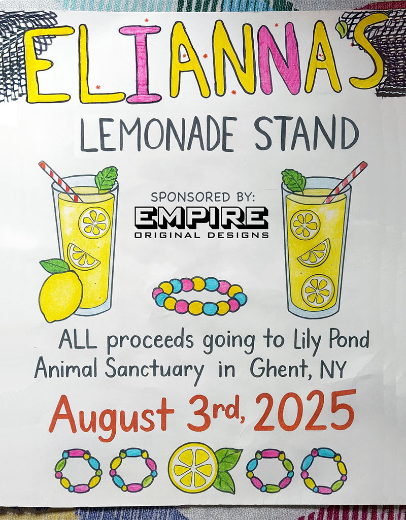 1188-lemonade-stand-1-17540367275869.jpg