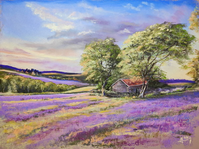12886-le-champ-de-violettes-17104277786417.jpg