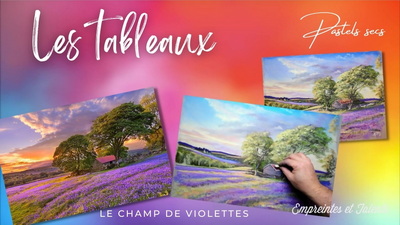 13031-13007-jaquette---le-champs-de-violettes-17112117967911.jpg