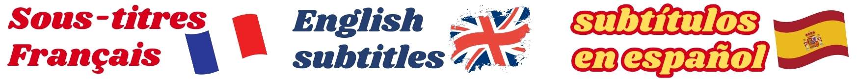 29798-25715-drapeaux-traductions-2-17545048278996.jpg