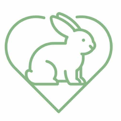 806-etds-icon-1-17551786039694.jpg