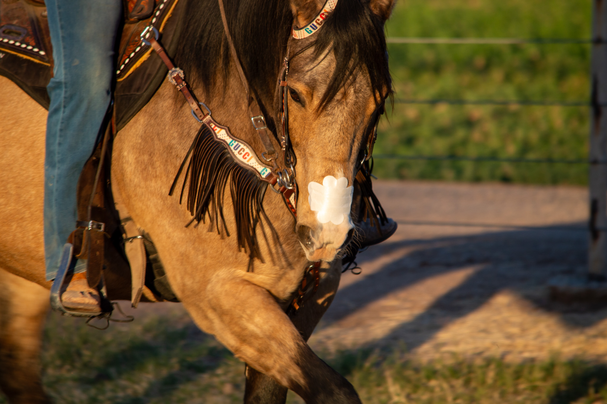 466-dsc6407-17447595436682.jpg