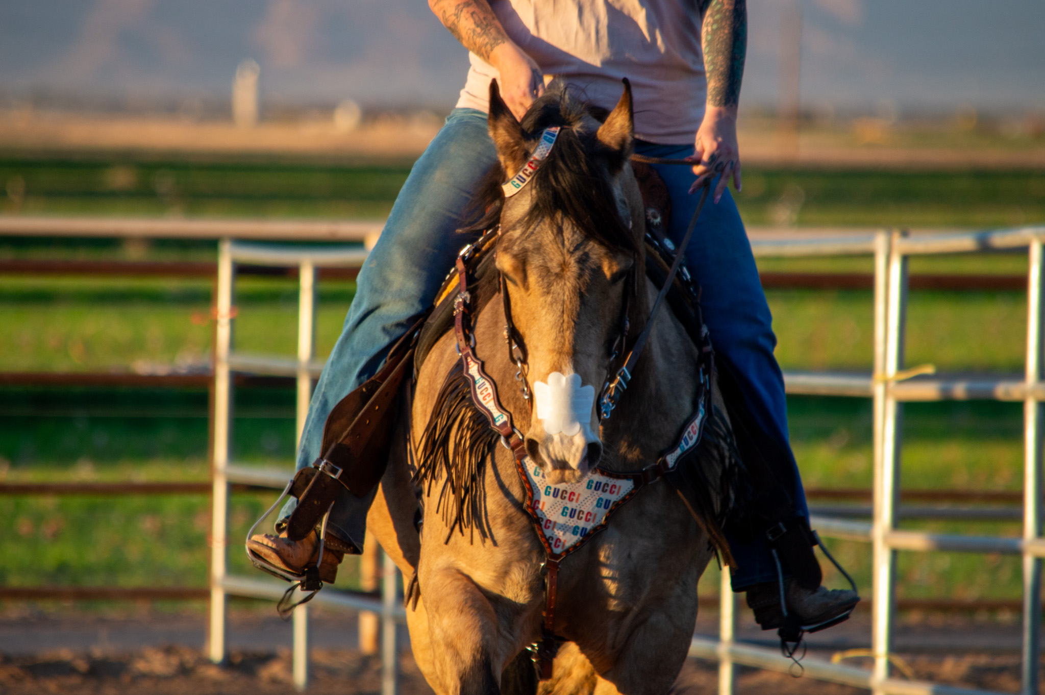 466-dsc6442-17447595437679.jpg