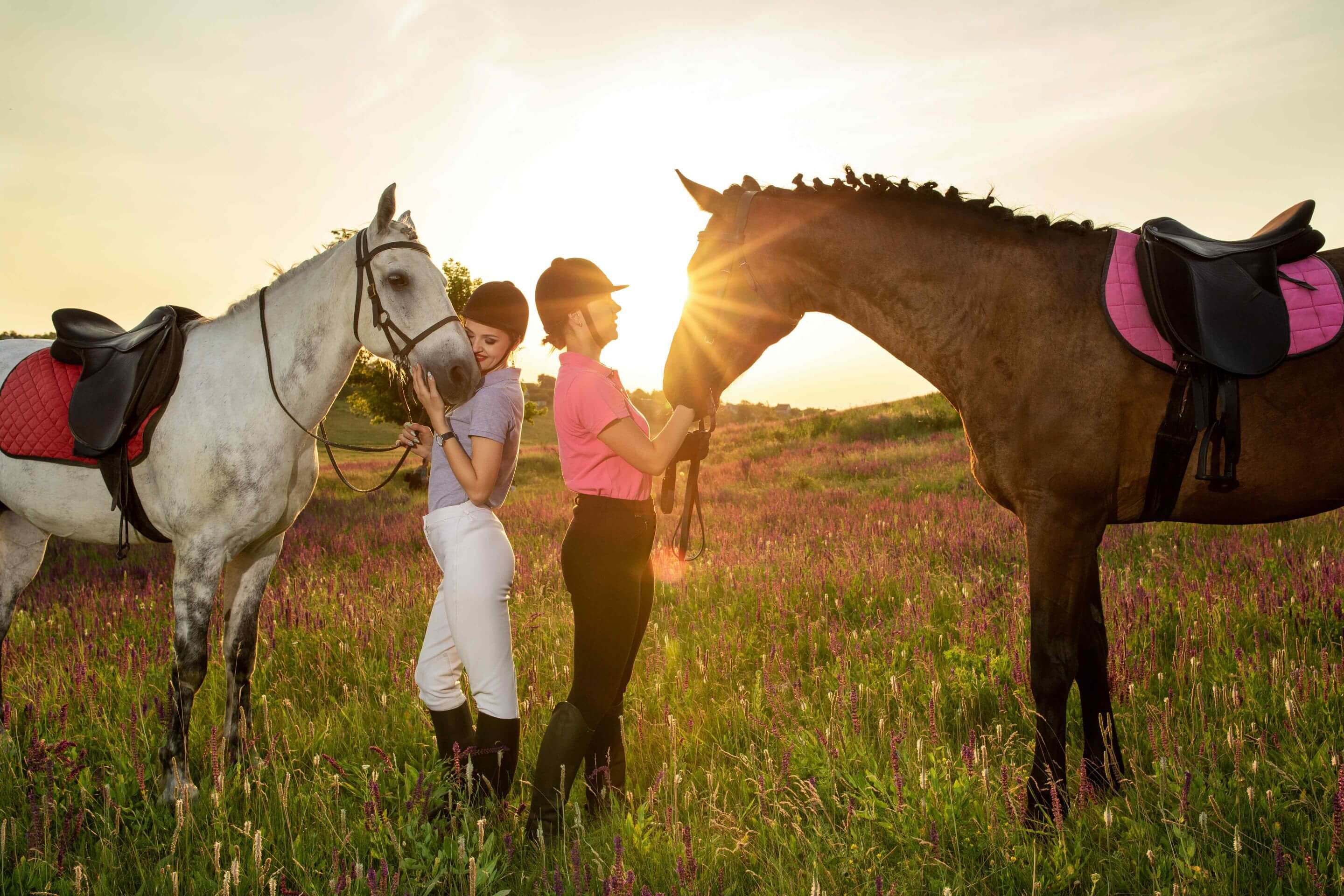 557-two-woman-two-horses-outdoor-summer-happy-sunset-together-nature.jpg