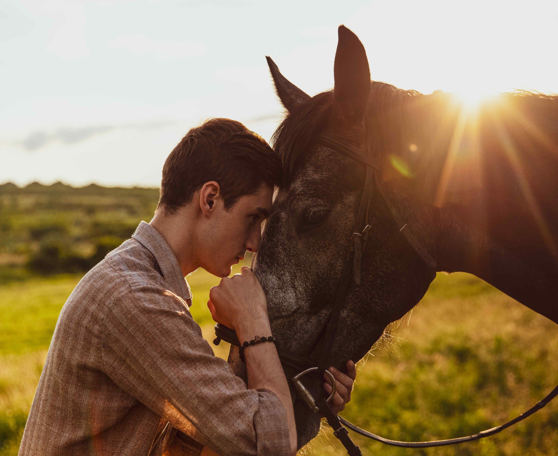 557-young-male-hugging-horse-field-sunlight-evening.jpg