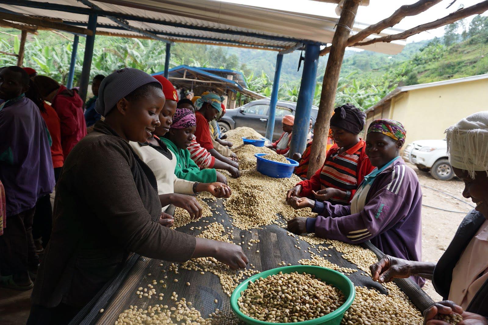 YOGA CLASSES 919-ea860f41-4348-4c9b-8fcc-94af114f939b-17194015867286.jpg