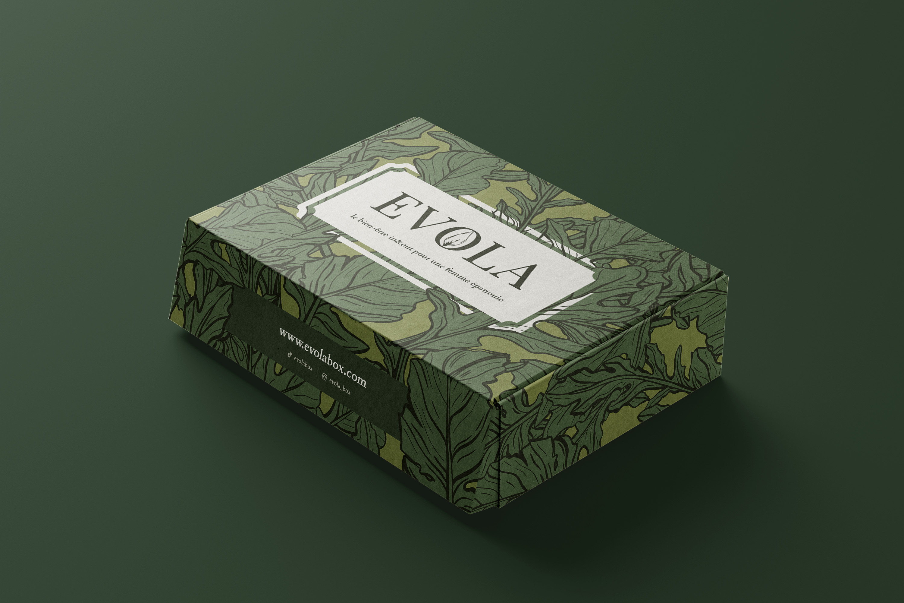 445-box-design-mockup---r1v2-17524213205768.jpg
