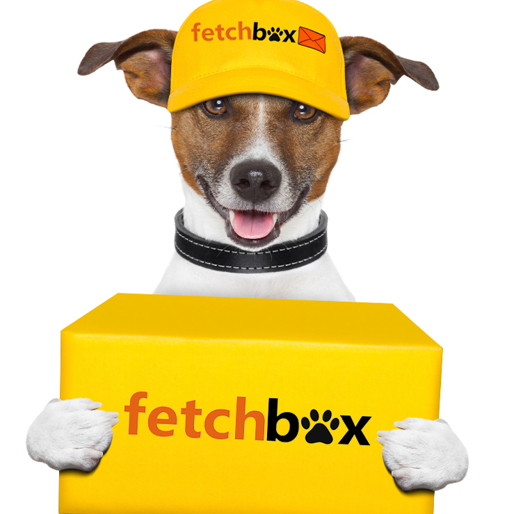 Fetch dog food discount delivery