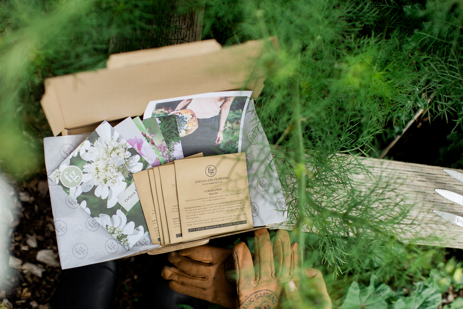 The Cut Flower Box Sustainability The Cut Flower Box from Field