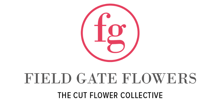 The Cut Flower Box from Field Gate Flowers 
