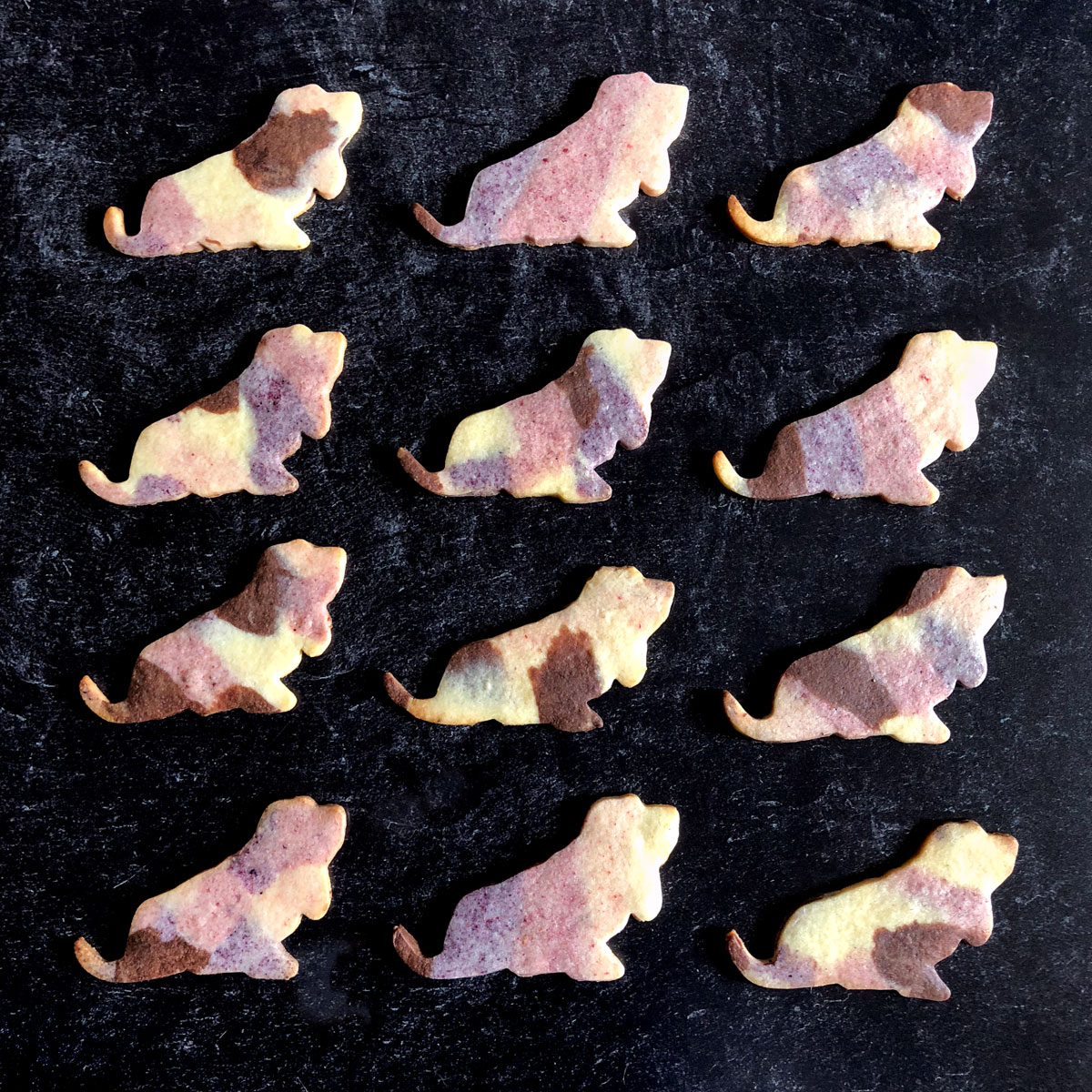 1155-preston-cookies.jpg