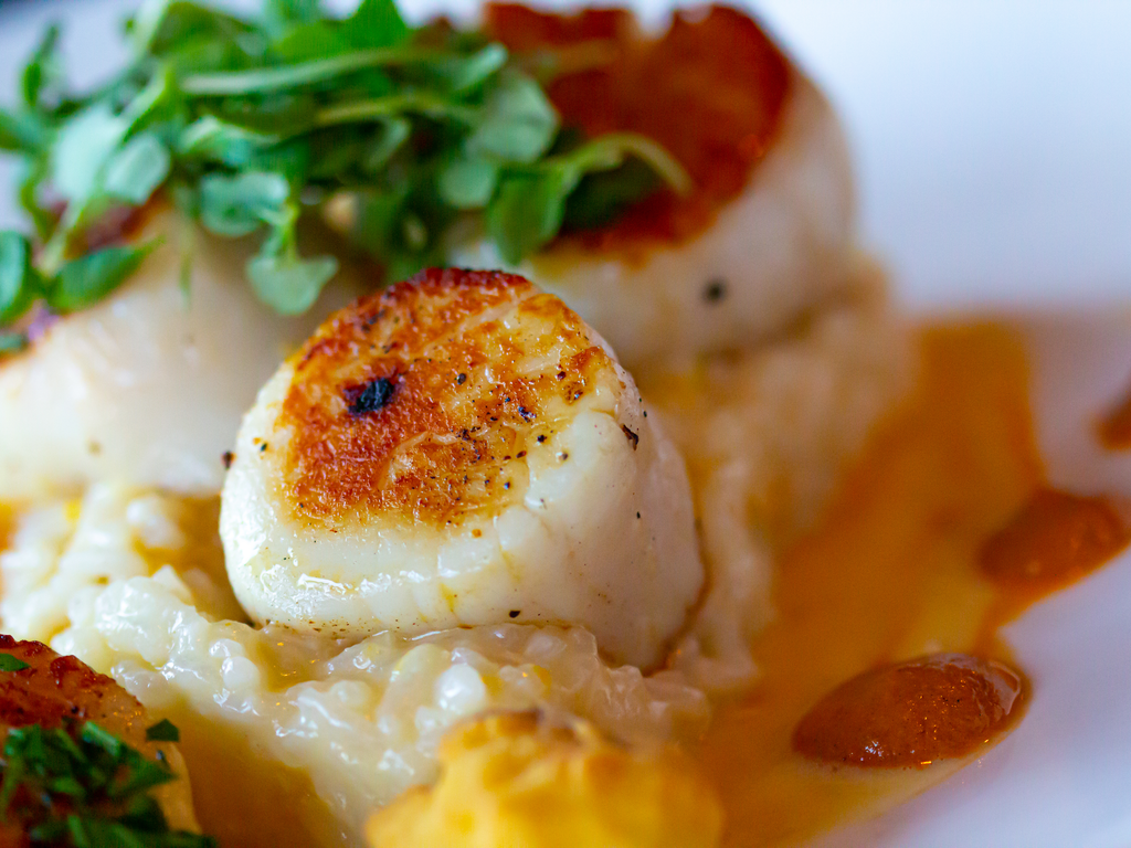 176-scallop---fish-foodies---presentation.png