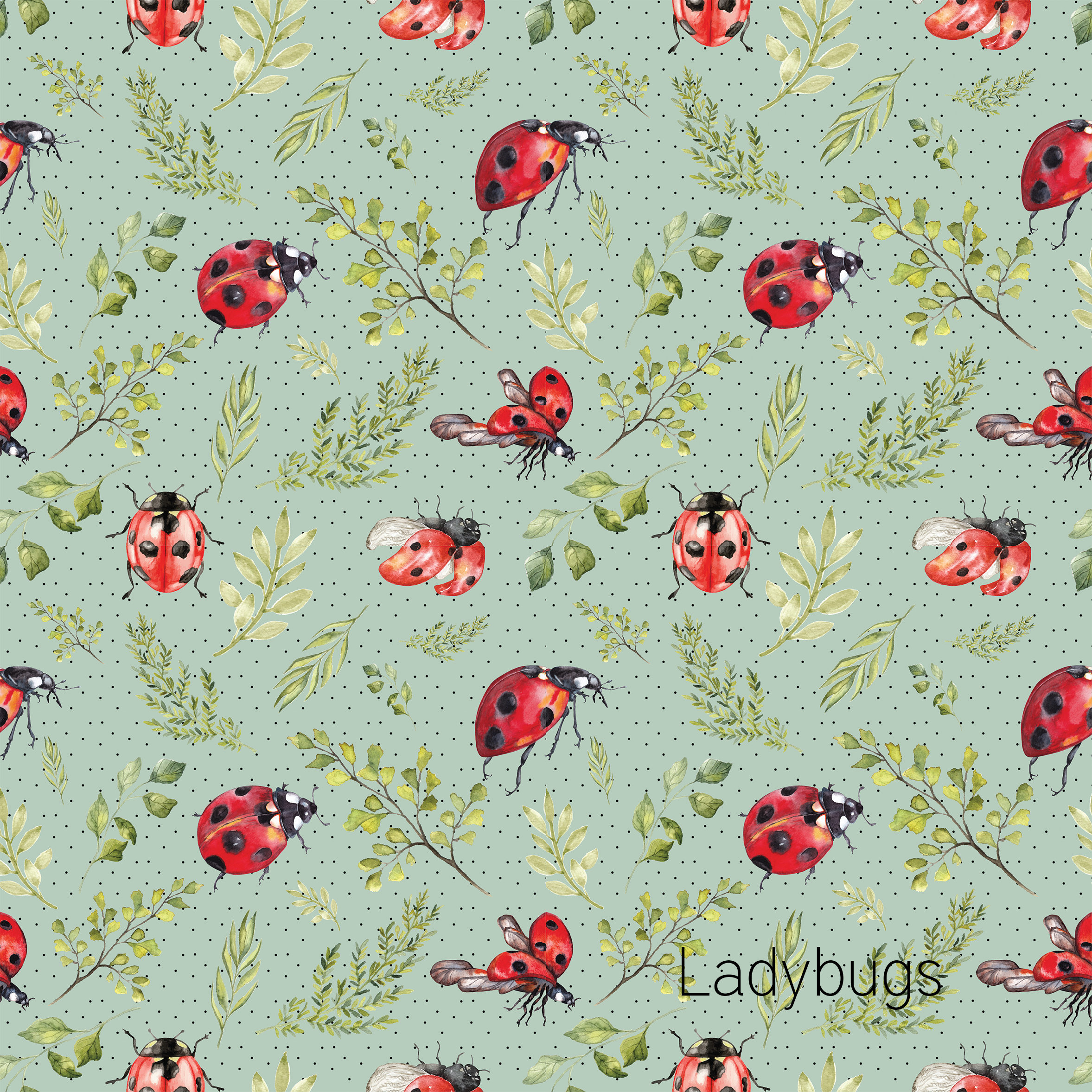 306-ladybugs-17012788958372.jpg