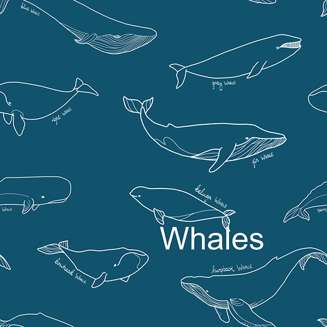 306-whales-17067978143665.jpg