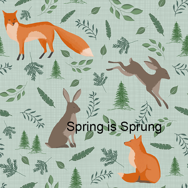 736-spring-is-sprung-17460875367028.jpg