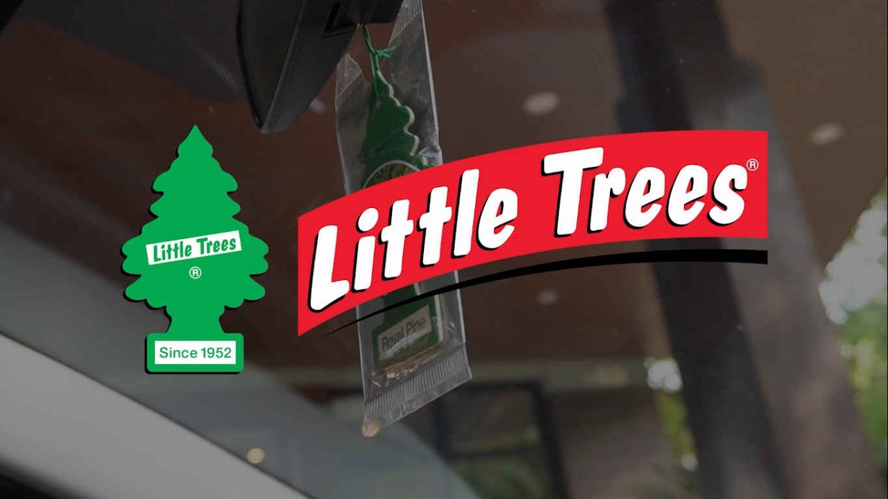 Discover the Top 5 Little Trees Air Freshener Scents