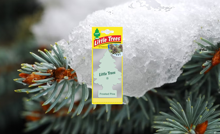 Embrace the Crisp Scent of Little Trees Frosted Pine: Now Available on Fresh Drives