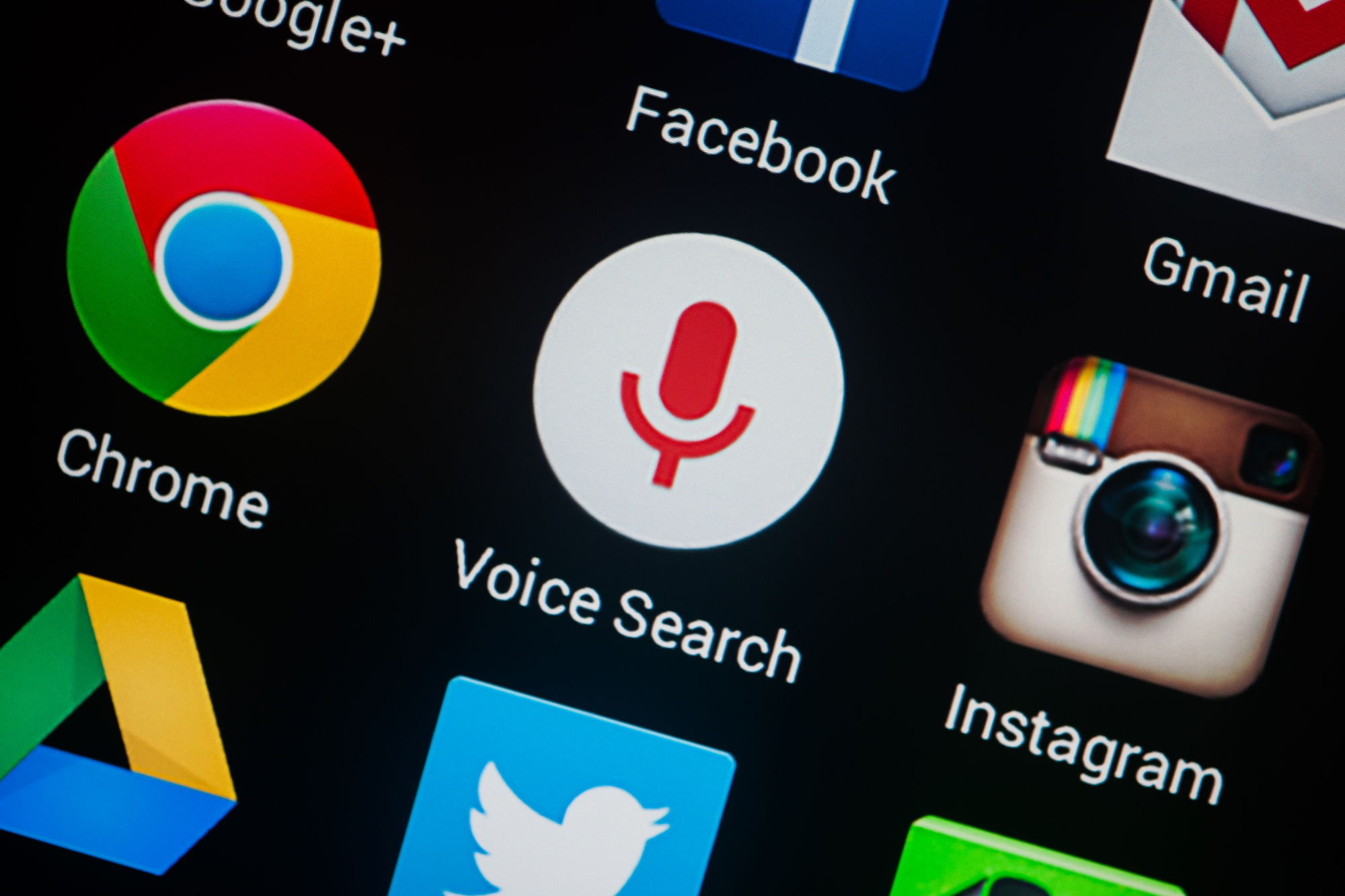 Voice Search PPC Management 