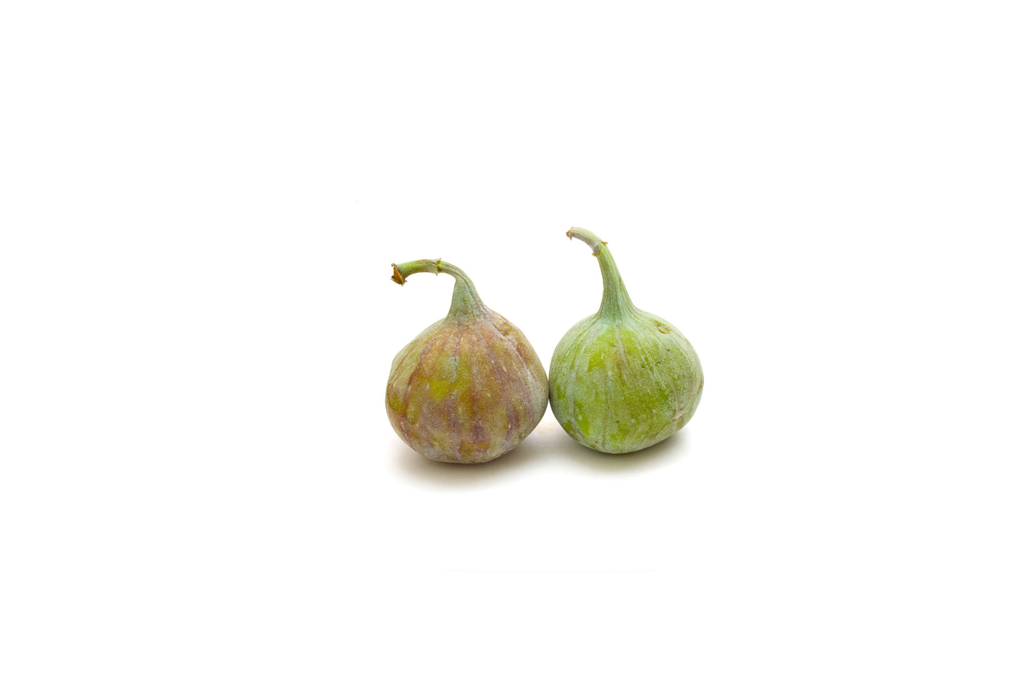 Figs 108-shutterstock1246211605-00-9.jpg