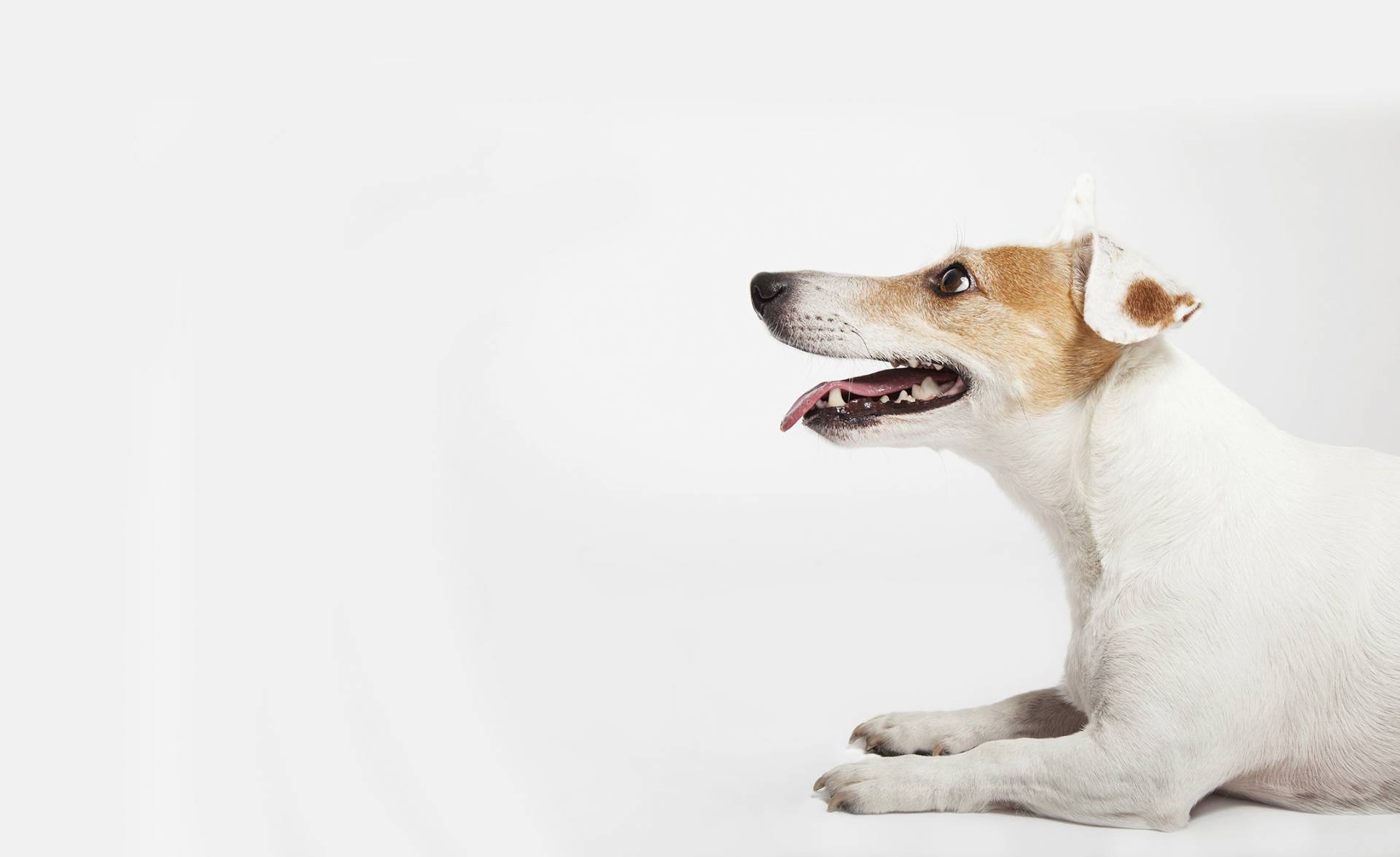 r805-shutterstock361043696-0-0-k-pl-lkj--------9.jpg
