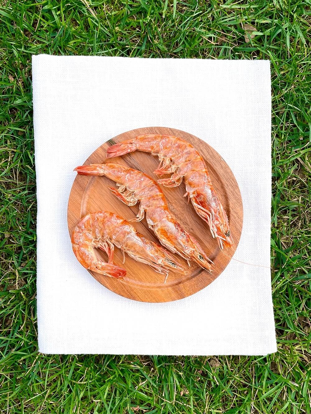 5458-shrimp-treats-dehydrated-1-1.jpg