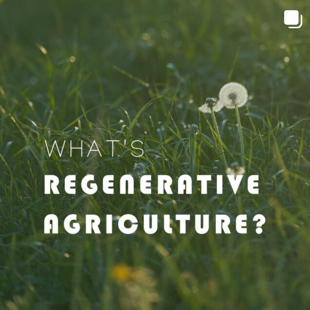 organic treats from regenerative agriculture farm