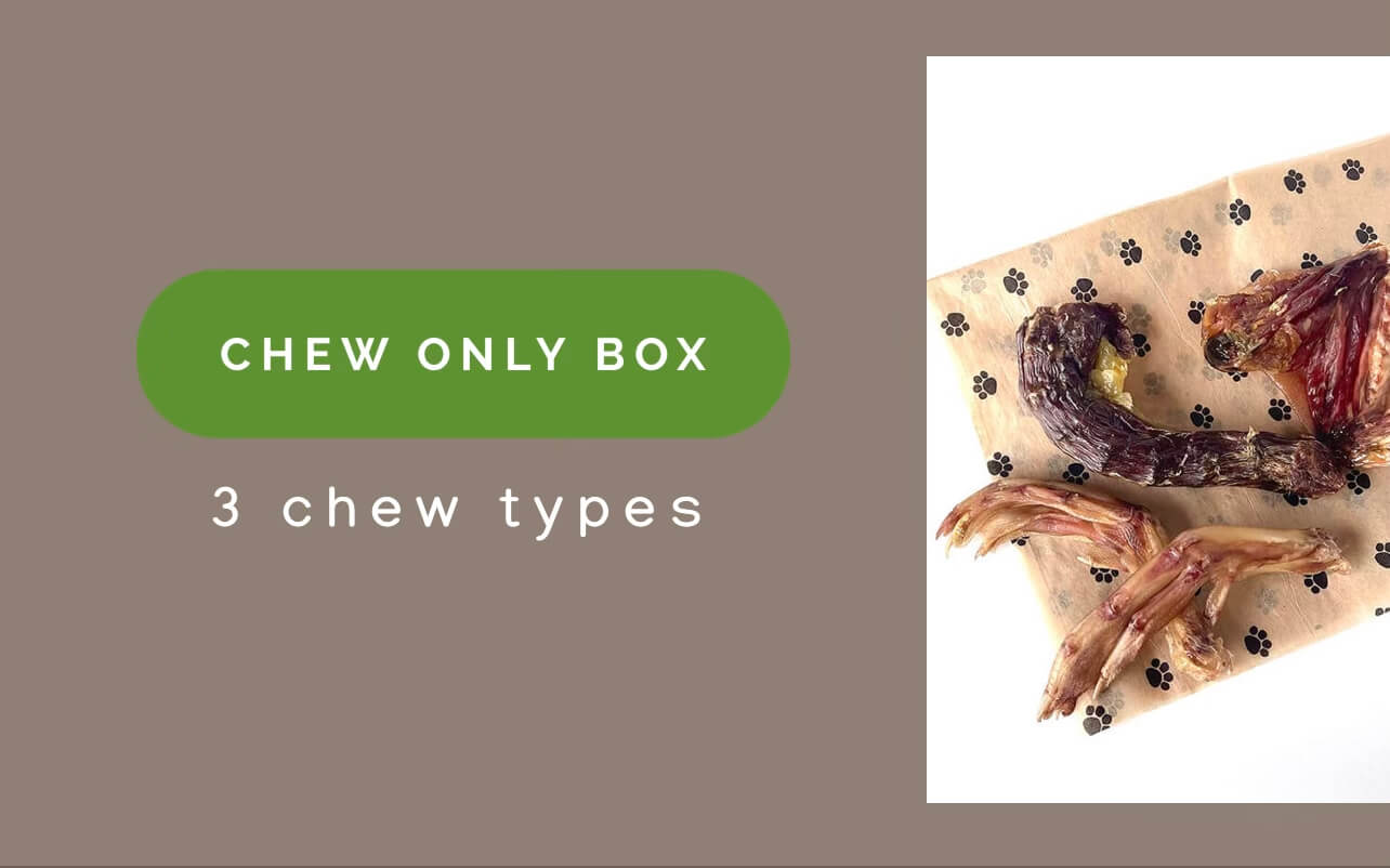 8818-chew-only-box-healthy-dog-chews-oragnic-1.jpg