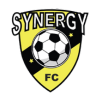 611-synergy-1-17397627903556.png