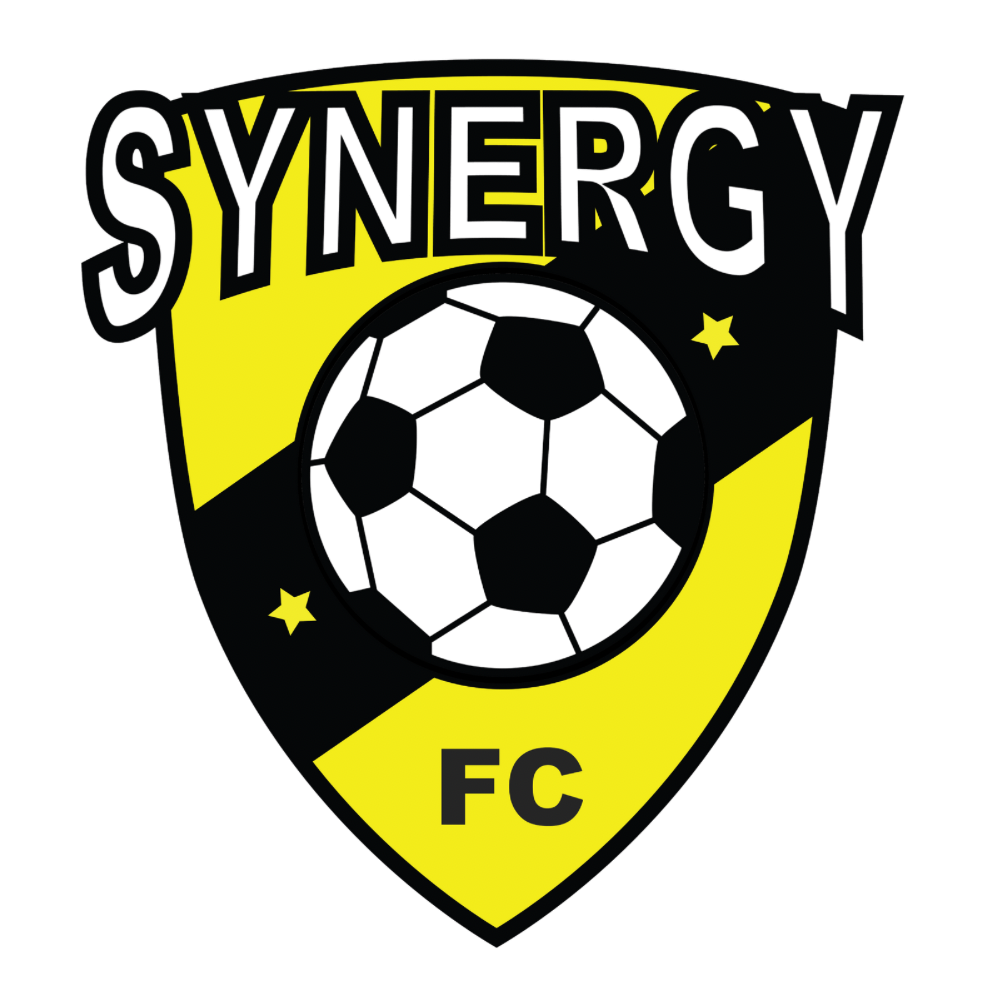 709821000268-synergy-logo-17506575115003.png