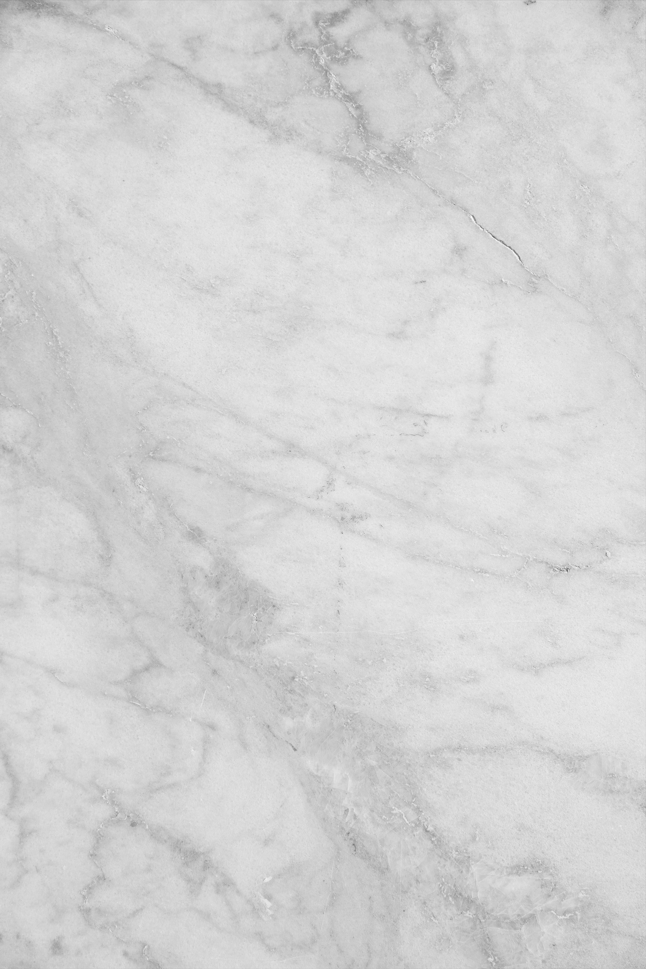 r1245-gray-ginsake-16918593345228.jpg